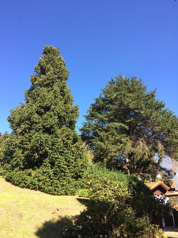 Willa Chale Aconchegante Monte Verde  Zewnętrze zdjęcie